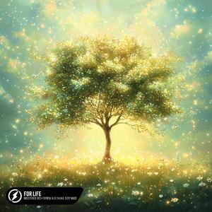 三年片在线观看大全有哪些日本歌
