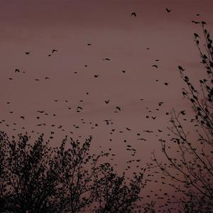 三年片在线观看大全有哪些日本歌
